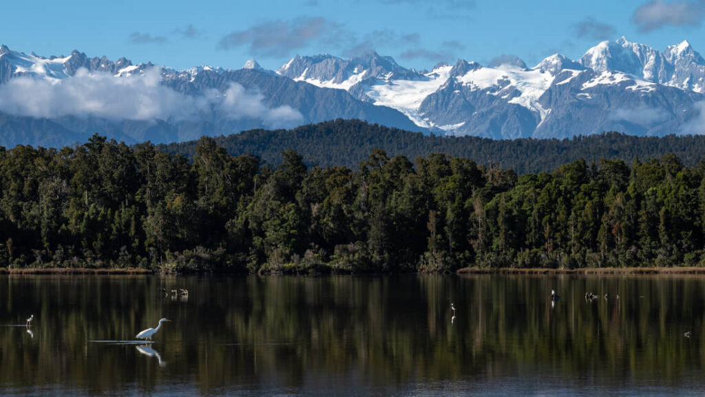 Ōkārito Landscape
